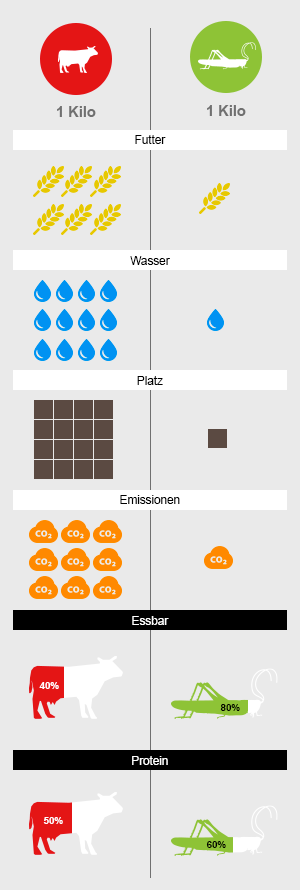 Futter, Co2, Platz, Wasser, Proteine