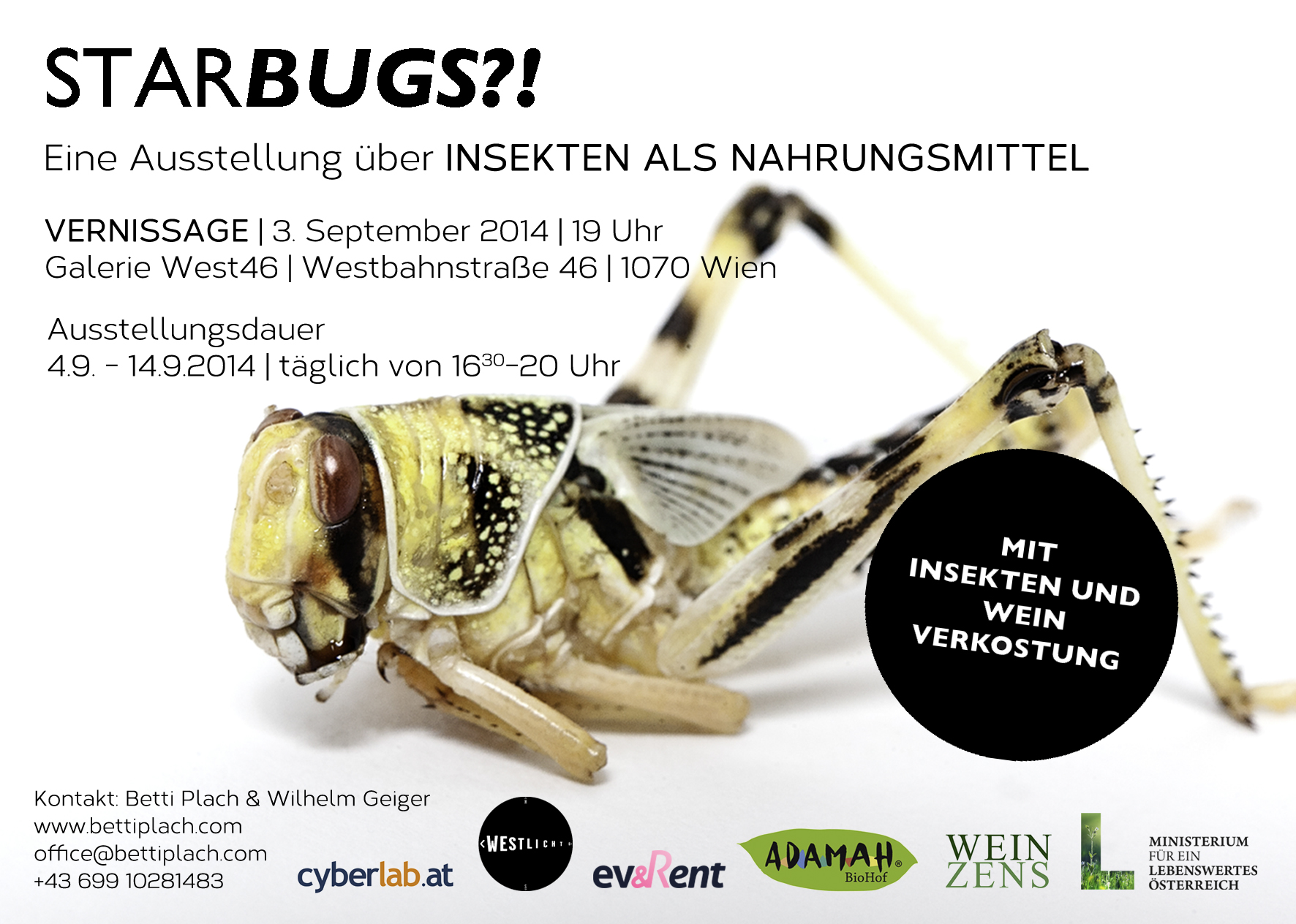 Starbugs?! Eine Ausstellung über Insekten als Nahrungsmittel.